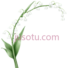 白百合,花 PNG