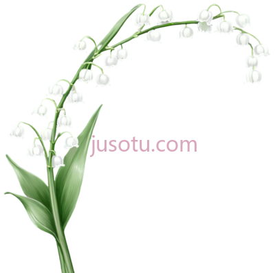 白百合, PNG