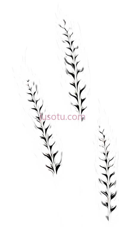 谷穗, PNG