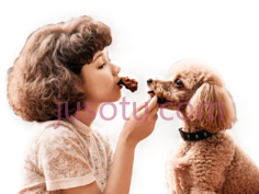 女孩,狗,卡通,黑色背景PNG