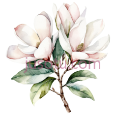 花束PNG