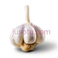 大蒜PNG