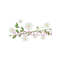 可爱,花朵, PNG