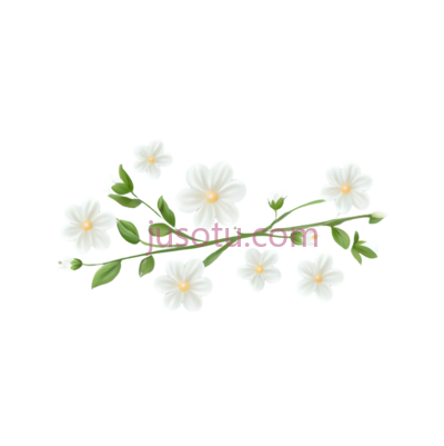 可爱,花朵, PNG