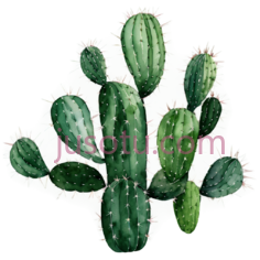 仙人掌,卡通,绿色PNG