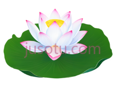 荷花,蓝色,花朵PNG