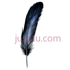 黑色羽毛PNG