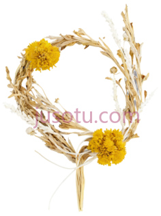 花环,自然风干,黄色,白色PNG