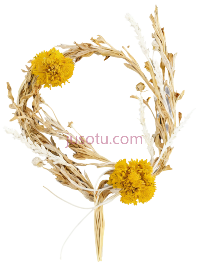 花环,自然风干,黄色,白色, PNG