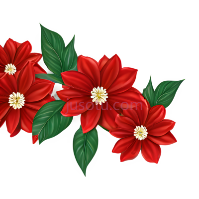花朵,红色, PNG