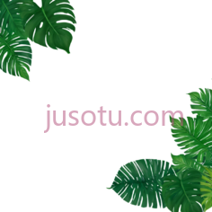 树叶,自然,绿色PNG