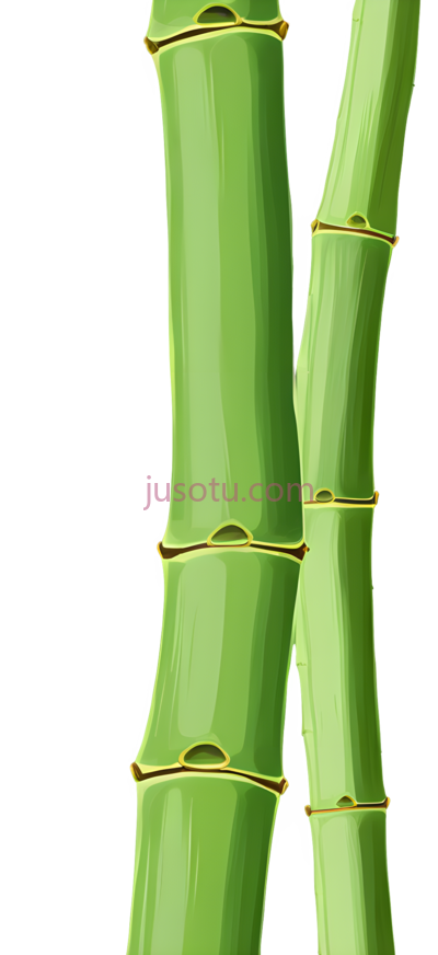 竹子,卡通, PNG