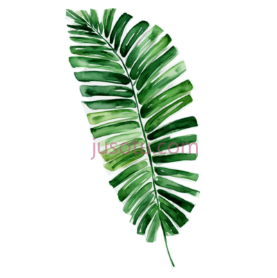 水彩画,棕榈叶, PNG