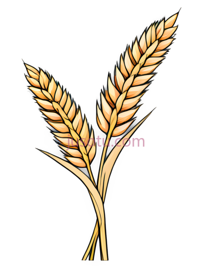 稻谷, PNG