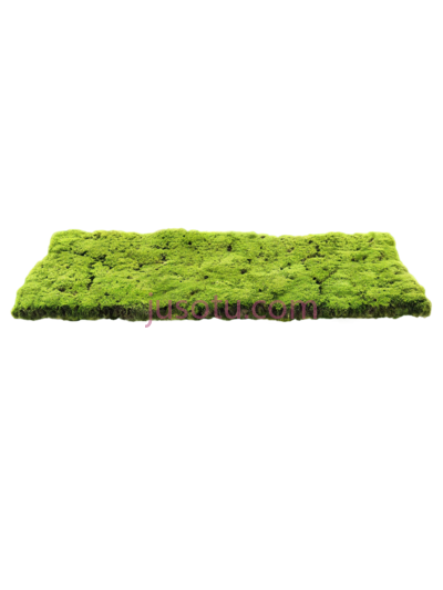 蔓延苔藓, PNG