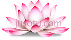 莲花,卡通,粉色PNG