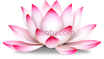 莲花,卡通,粉色, PNG