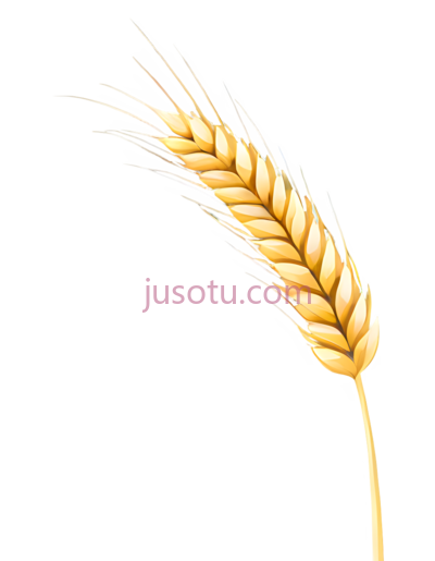 麦穗, PNG