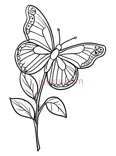 蝴蝶,线条,白色, PNG