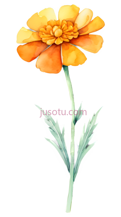 卡通向日葵,水彩, PNG