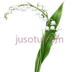 白百合,花 PNG