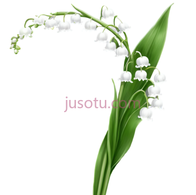白百合, PNG