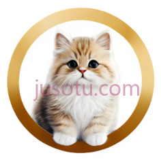 小猫,可爱,棕色,白色PNG