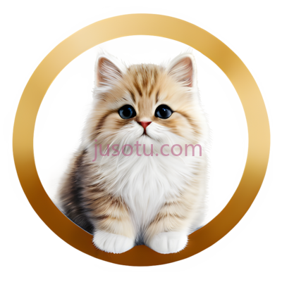 小猫,可爱,棕色,白色, PNG