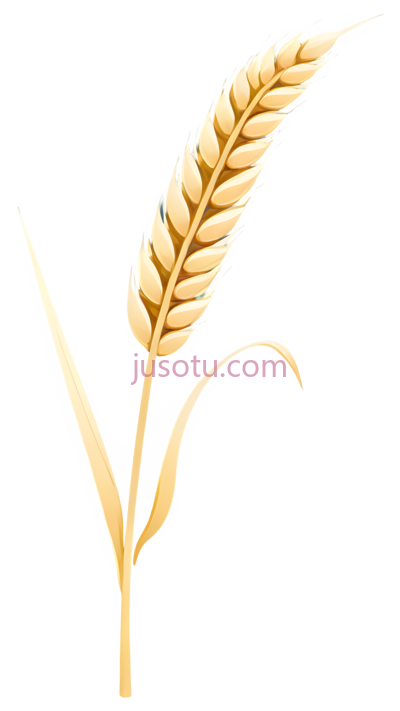 麦穗, PNG
