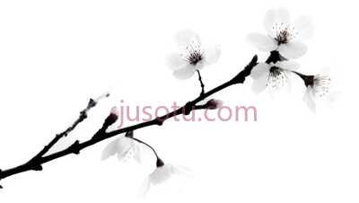 樱花花瓣, PNG