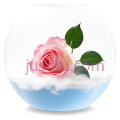 玫瑰花,卡通,粉色PNG