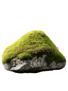 岩石,苔藓PNG