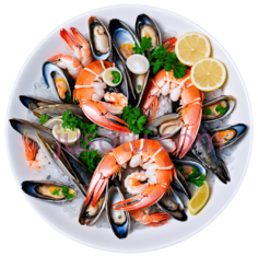 海鲜菜肴PNG