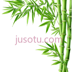 竹枝,竹叶,竹子PNG