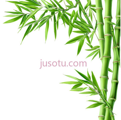 竹枝,竹叶,竹子, PNG