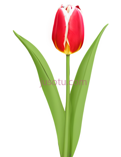 抽象郁金香,壁纸,深色调, PNG