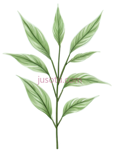 树叶,插画,绿色, PNG