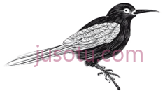 鸟,线条画,黑白PNG