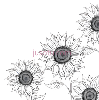 向日葵花瓣, PNG