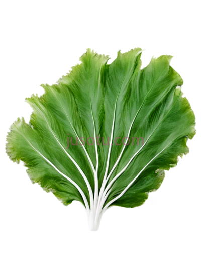 海藻, PNG