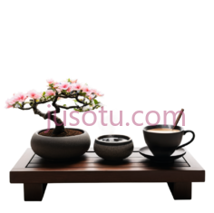 盆栽, 茶杯, 茶壶,黑色背景, 粉色花朵PNG