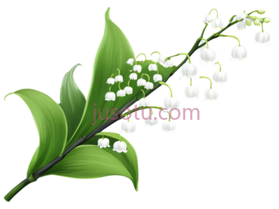 铃兰,插画,绿色,白色, PNG