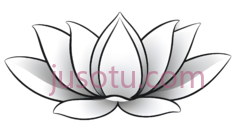 莲花花瓣PNG