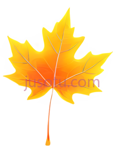 枫叶,插画,黄色PNG