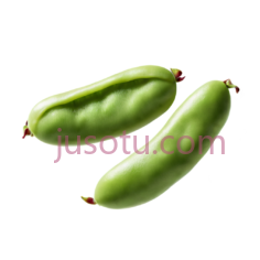 蚕豆PNG