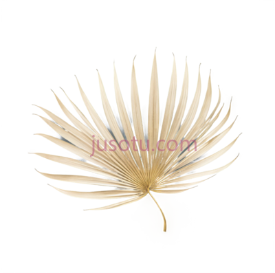 叶子,金色, PNG