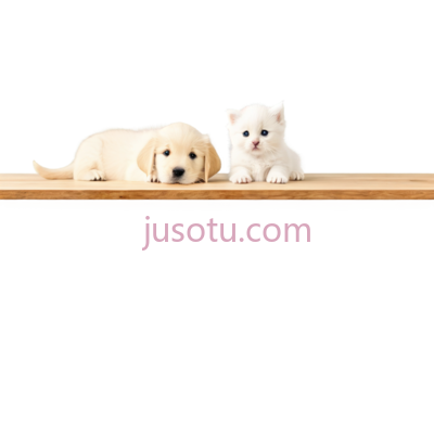 小狗,小猫,卡通,白色, PNG