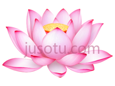 荷花花瓣PNG