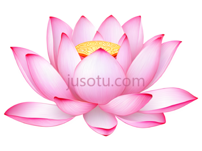 荷花花瓣, PNG