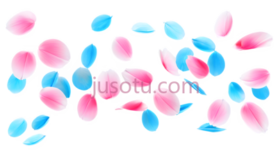 花瓣,卡通,粉色,蓝色, PNG
